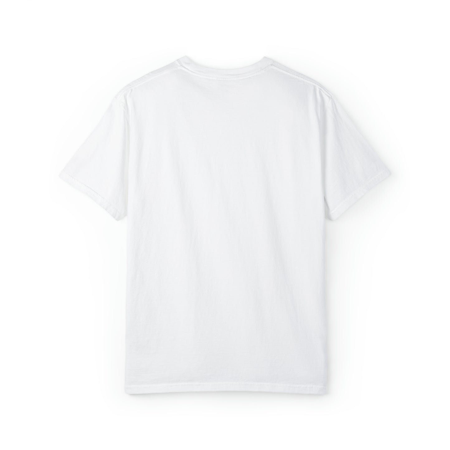 Adult Choose Magic Tee - Comfort Colors