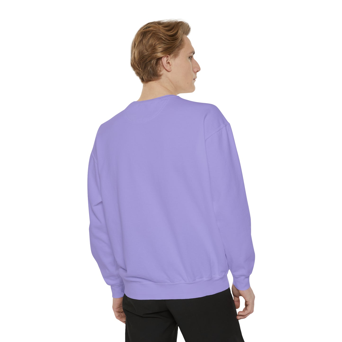 Adult Spooky Era Crew - Comfort Colors