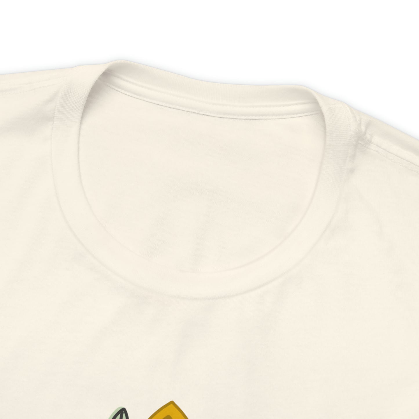Adult Lost Princess, found Tee - Bella + Canvas