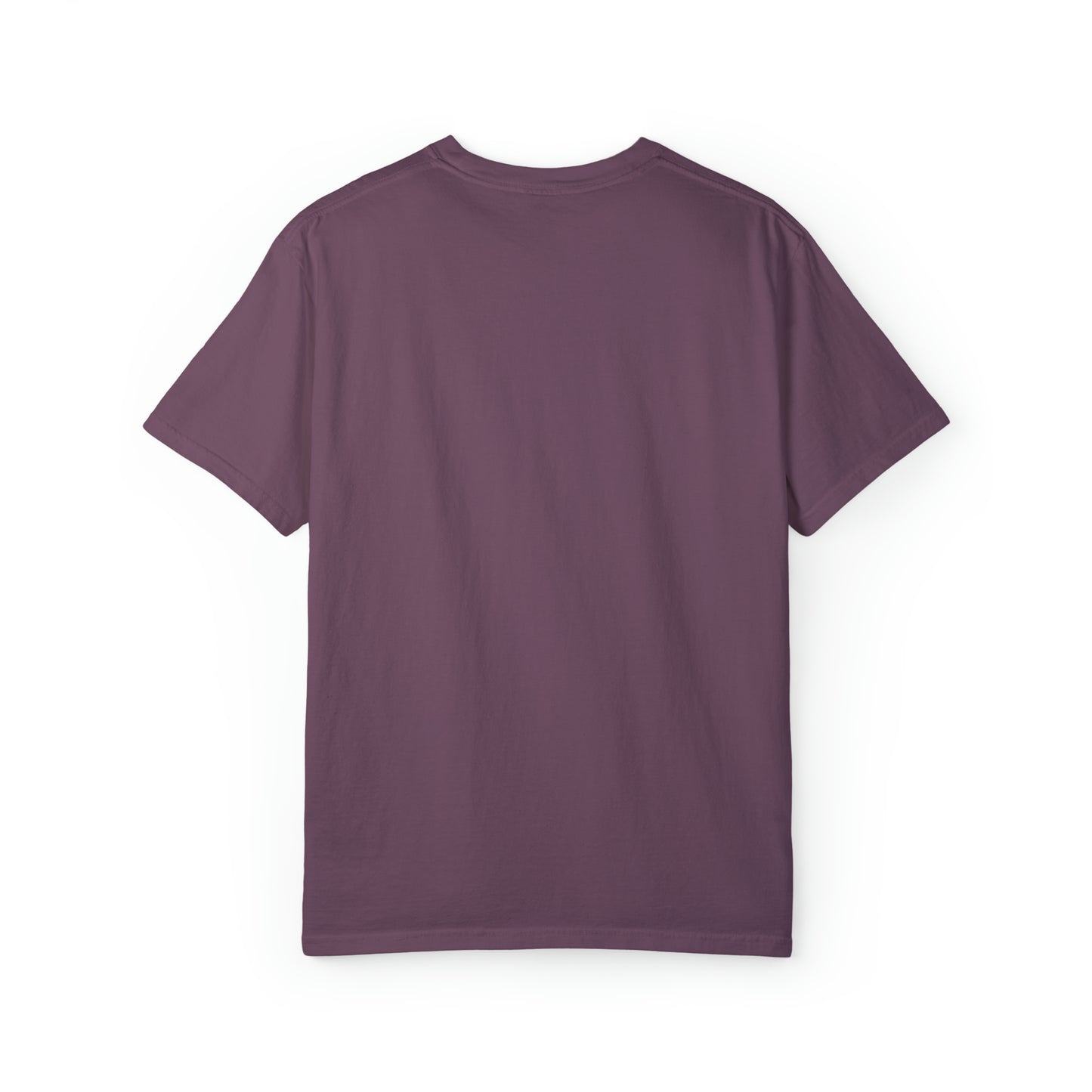 Adult Toy Balloons Tee - Comfort Colors