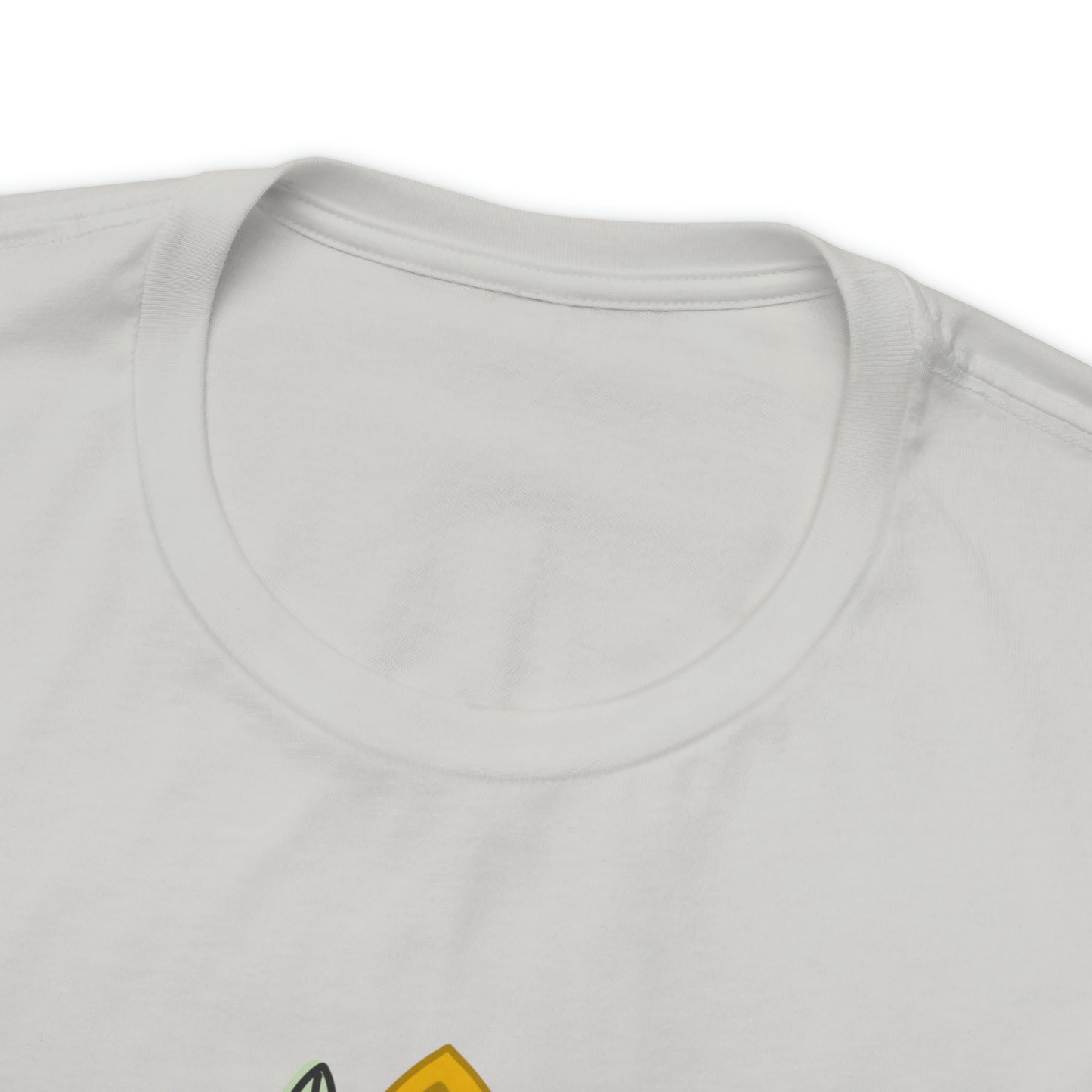 Adult Lost Princess, found Tee - Bella + Canvas